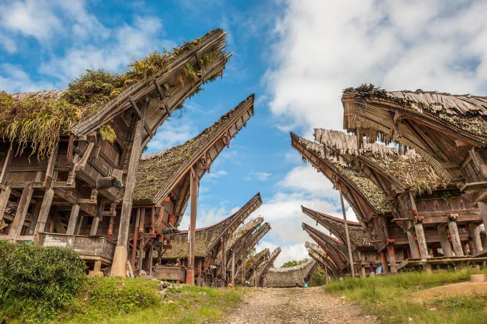 Sugi House Toraja - Villa Penginapan Sewa Harian Rantepao Eksteriør billede